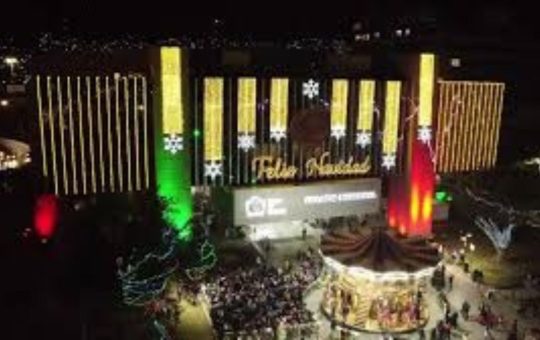 regia navidad, árbol de navidad, Monterrey, encendido de pino