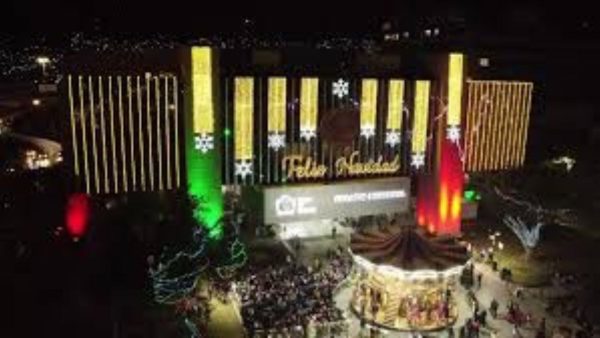 regia navidad, árbol de navidad, Monterrey, encendido de pino