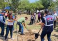 Medio-ambiente-monterrey-plantación-de-árboles - Nuevo León Primero