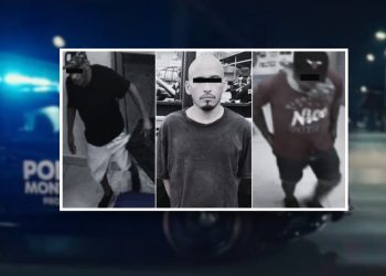  - Nuevo León Primero