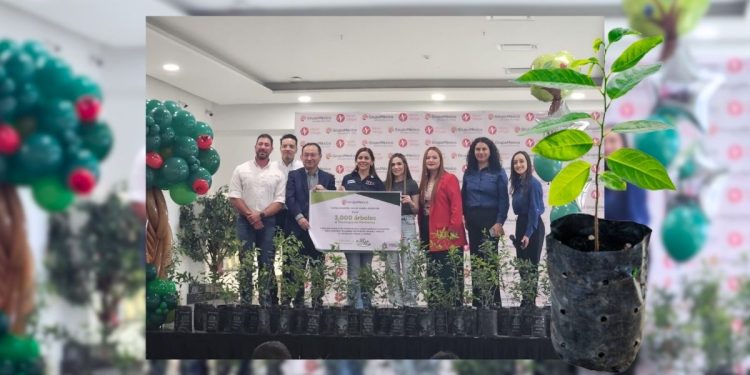 Recibe Monterrey Donativo De 3000 Árboles Por Parte De Grupo México-nl Primero - Nuevo León Primero Donativo-de-árboles-3-mil-árboles-grupo-méxico-monterrey - Nuevo León Primero
