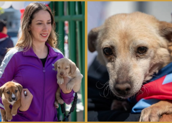 Primer Informe, Monterrey, Adrián, Seguridad Monterrey, Regio Ruta, Programas Sociales - Nuevo León Primero