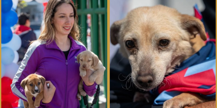 Primer Informe, Monterrey, Adrián, Seguridad Monterrey, Regio Ruta, Programas Sociales