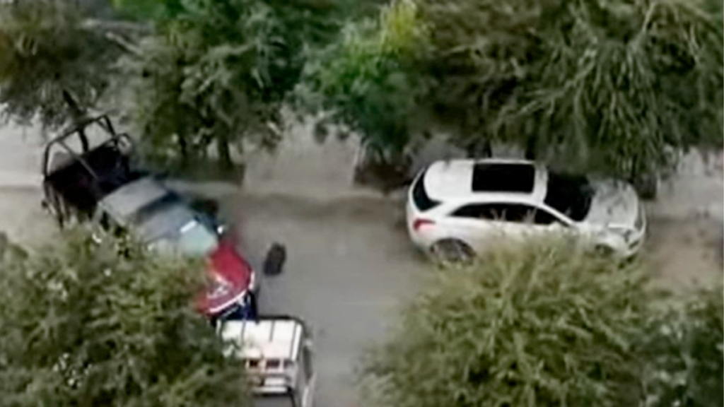 Cateo En Santiago - Nuevo León Primero Cateo En Santiago, Equipo Táctico, Armas De Fuego, Drogas, Colonia San José, Seguridad