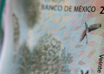 Retiro Del Billete, Banco De México, Billete De 20 Pesos, Nueva Familia, Moneda Mexicana - Nuevo León Primero
