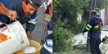 Nl Primero - Nuevo León Primero - Nuevo León Primero