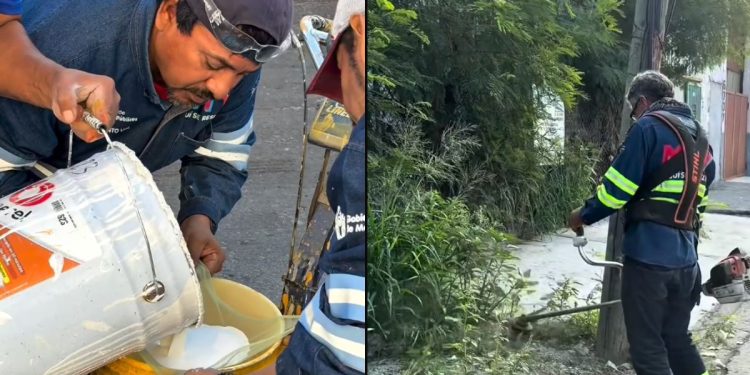 Nl Primero - Nuevo León Primero - Nuevo León Primero