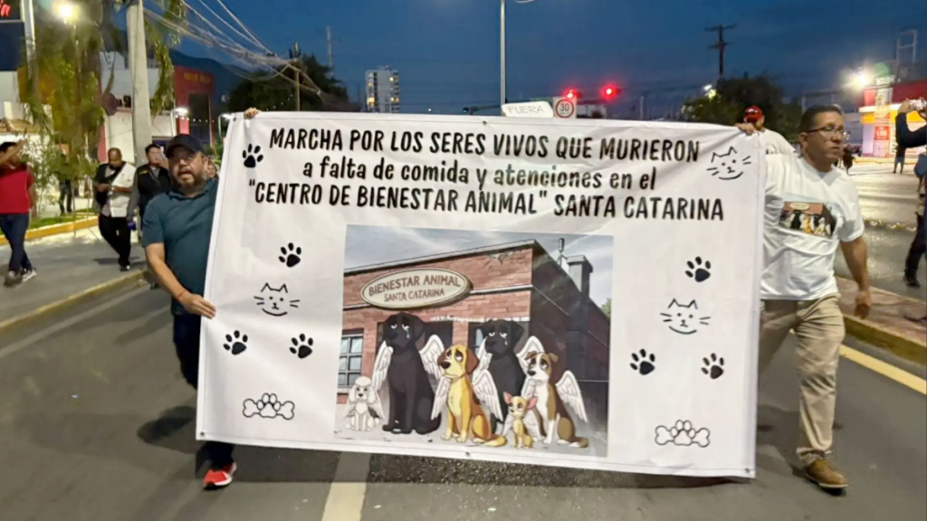 Maltrato Animal - Nuevo León Primero Maltrato-animal-reformas-penales-congreso-local-sanciones-mayores-bienestar-animal-nuevo-león