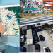 Person Points at a City Map on a Large Monitor While a Busy Construction Site and Traffic-filled Roadway Are Shown. - Nuevo León Primero